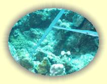 IMG_2007_05_26 18_30_52 * 2272 x 1704 * (647KB)